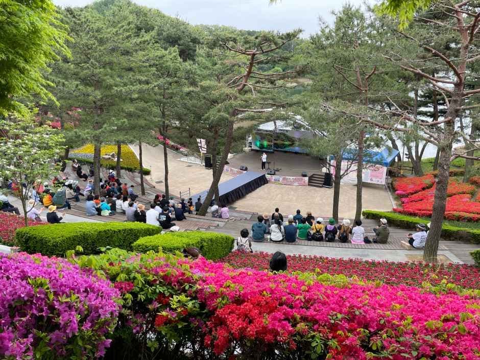 청남대 봄꽃축제 영춘제