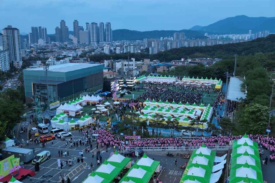 대구앞산축제