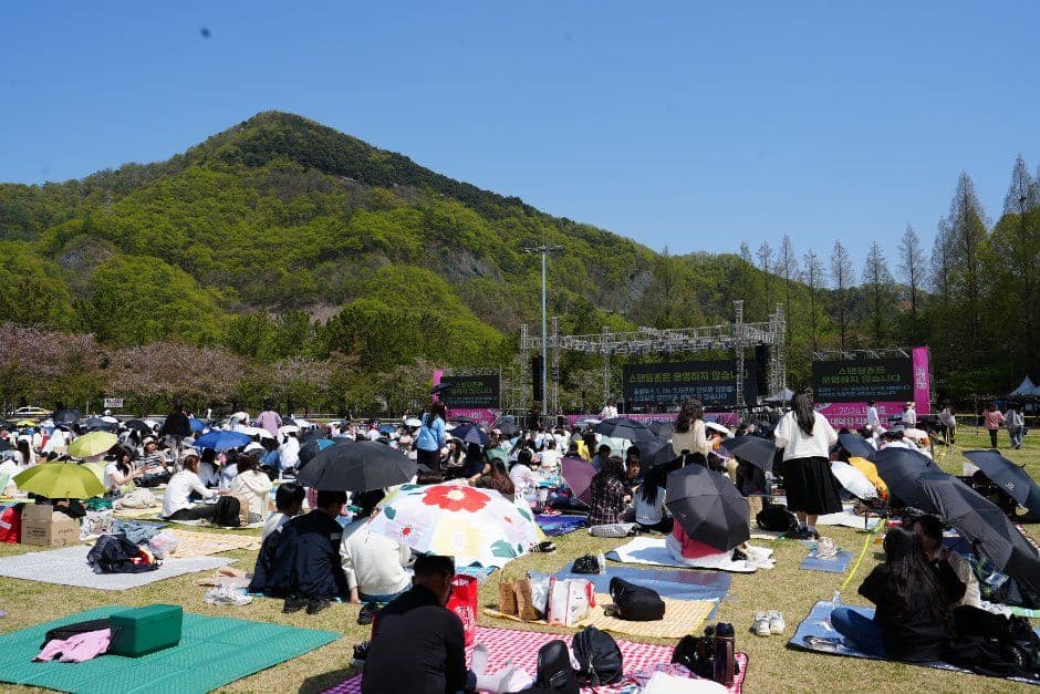 대덕대청호물결축제